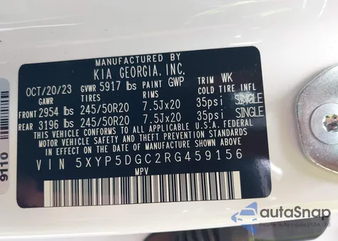 2024 Kia Telluride Sx Prestige X-Line из США, поврежденный, VIN 5XYP5DGC2RG459156